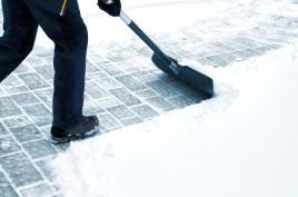 Small Banner Image - Winter