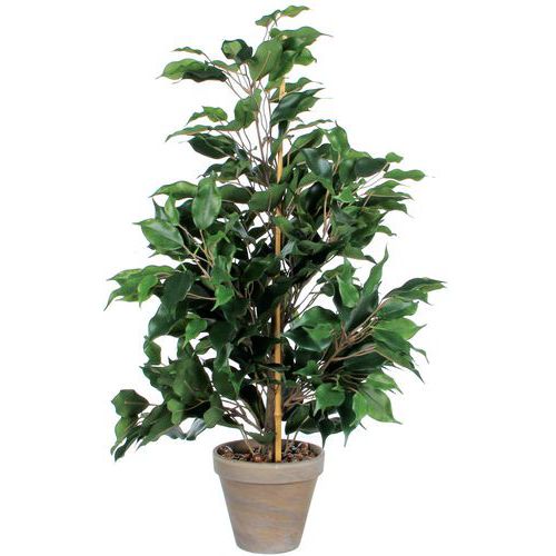 Ficus Exotica Konstgjord växt 65cm - Vepabins