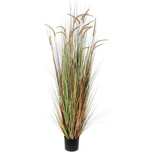 Konstgjort plommongräs dogtail 180cm - Vepabins