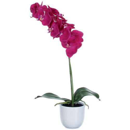 Artificiell Phalaenopsis Orchid 60cm - Vepabins