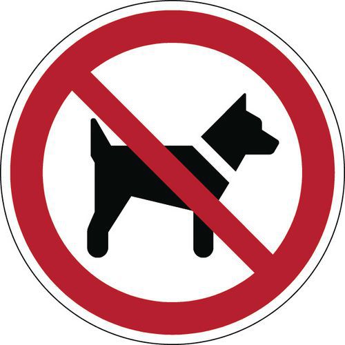 Förbudsskylt – hundar förbjudna – styv