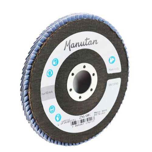 Slipskiva med böjda klaffar, Ø 125 mm - Manutan Expert