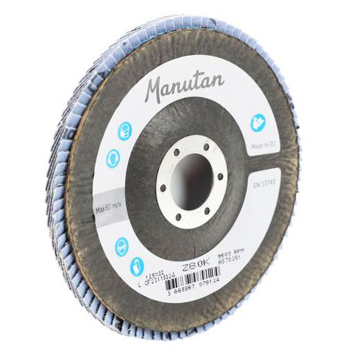 Slipskiva med böjda klaffar, Ø 125 mm - Manutan Expert