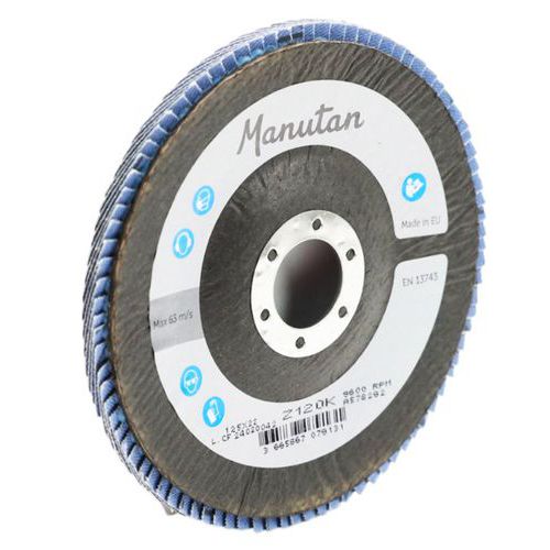 Slipskiva med böjda klaffar, Ø 125 mm - Manutan Expert